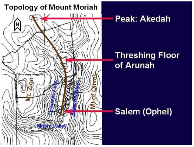 Topology of Mount Moriah